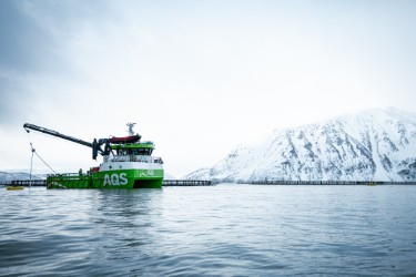 1ee102cf-b6c8-4671-baf1-bffc12e64a22